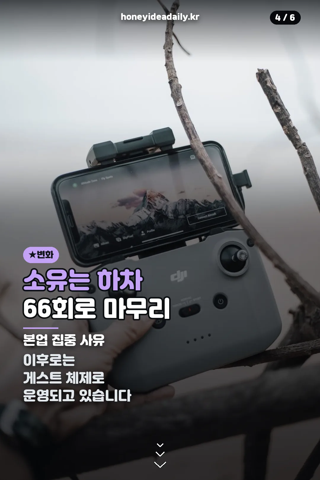 소유 하차 변화