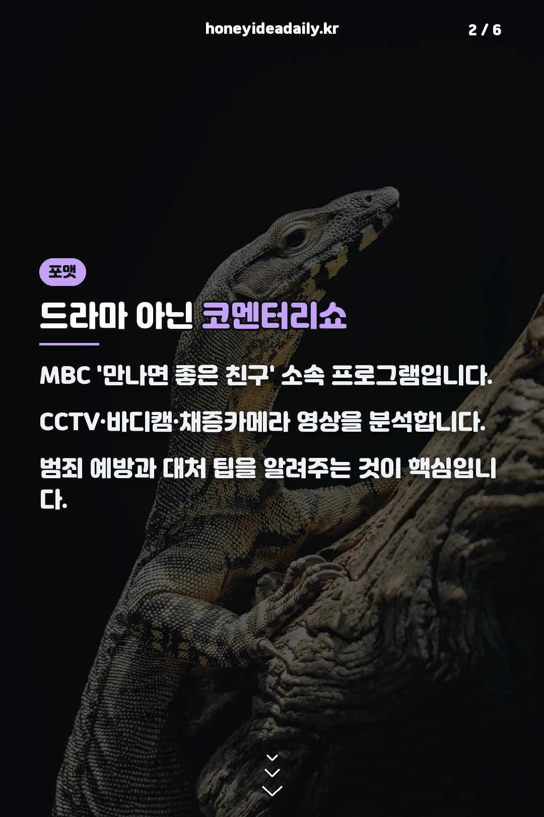 범죄분석 코멘터리쇼 포맷
