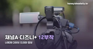 너에게 다이브 드라마 정보 — 출연진·몇부작·방영일 정리