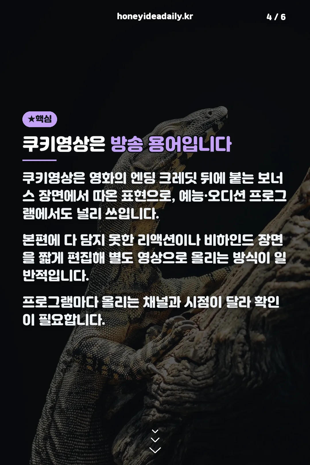 쿠키영상 용어 설명