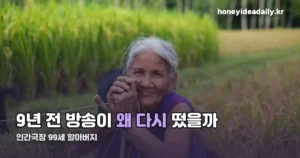 인간극장 99세 할아버지 — 2017년 방송이 2026년에 다시 뜨는 이유